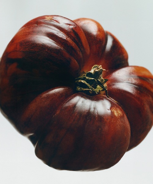 LOEWE Perfumes（ロエベ パルファム）の「ロエベ リキッドソープ トマトリーフ（ハンドソープ・レディース・その他・FREE）」の4枚目の写真