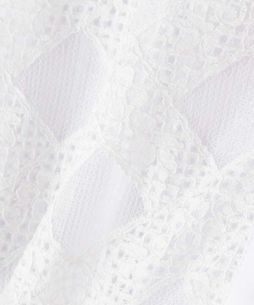 N.（N. Natural Beauty Basic）（エヌエヌナチュラルビューティーベーシック）の「◆レース前掛け風ブラウス（シャツ/ブラウス・レディース・ホワイト/ブラック・MEDIUM）」の18枚目の写真