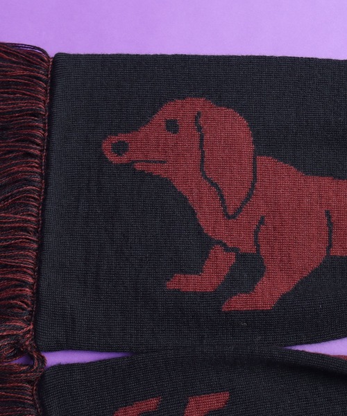 didizizi（ディディジジ）の「ダックスニットマフラー（ストール/ショール・レディース・ネイビー/ブラック・FREE）」の17枚目の写真