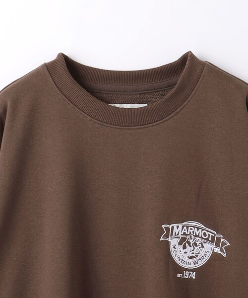 MARMOT(マーモット)の「【別注】<Marmot>GLR Marmots ロゴ スウェット(スウェット・メンズ・グレー/ブラウン・M/L/XL)」の17枚目の写真