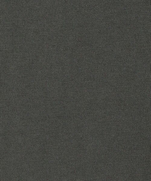 SHIPS(シップス)の「*フレンチロゴカレッジショートTEE◆(Tシャツ/カットソー・レディース・チャコールグレー/ライトホワイト/ミント/ライトオリーブ・ONE SIZE)」の12枚目の写真