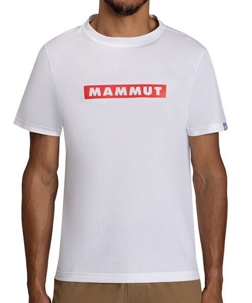 Mammut(マムート)の「QD ロゴ プリント Tシャツ アジアンフィット メン / QD Logo Print T-Shirt AF Men(Tシャツ/カットソー・メンズ・ホワイト/ブラック/ミント・MEDIUM/LARGE/X-LARGE)」の2枚目の写真
