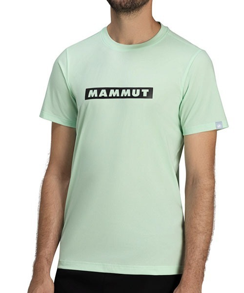 Mammut(マムート)の「QD ロゴ プリント Tシャツ アジアンフィット メン / QD Logo Print T-Shirt AF Men(Tシャツ/カットソー・メンズ・ホワイト/ブラック/ミント・MEDIUM/LARGE/X-LARGE)」の3枚目の写真