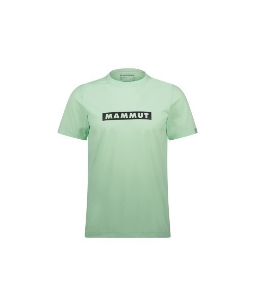 Mammut(マムート)の「QD ロゴ プリント Tシャツ アジアンフィット メン / QD Logo Print T-Shirt AF Men(Tシャツ/カットソー・メンズ・ホワイト/ブラック/ミント・MEDIUM/LARGE/X-LARGE)」の6枚目の写真