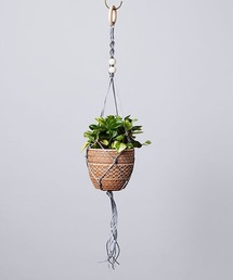 TODAY'S SPECIAL(gDfCYXyV)̃lInK[ons fx(t[x[X)