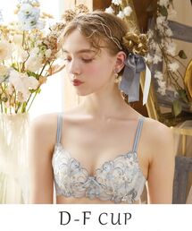 リサマリ　スカイラー　上下セット　F65 グレッタ ブラジャー（E-F）＜サイドシェイプ＞（ワイヤーブラ