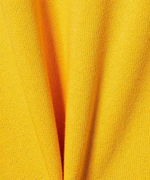 DOUBLE STANDARD CLOTHING(ダブルスタンダードクロージング)の「Champion×DSC Zip Hooded Sweat Shirt(パーカー・レディース・グレー/パープル/マスタード/ブラック・FREE)」の5枚目の写真