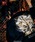 glamb�i�O�����j�́uBaki �� Yujiro Blouson / �o�L�����E�W���E�u���]���i�u���]���j�v�b�u���b�N