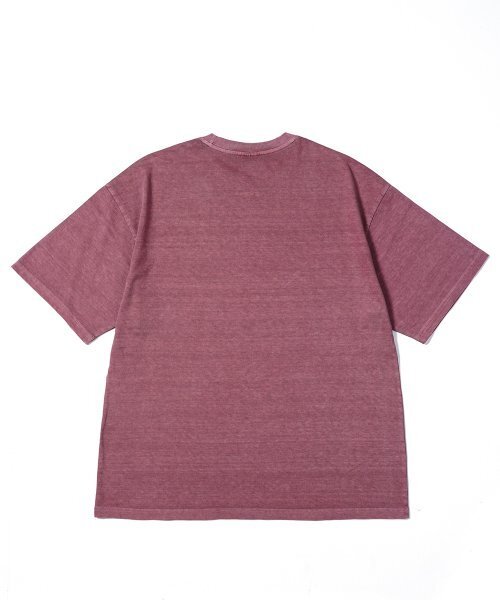 GAKKAI UNIONS(ガッカイユニオンズ)の「マイデイピグメント 半袖Tシャツ ファントムピンク(Tシャツ/カットソー・レディース・その他・MEDIUM/LARGE)」の3枚目の写真