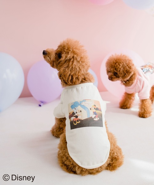 Disney(ディズニー)の「【DOG】【DISNEY /ディズニー】バースデイーフォトTシャツ(ペットウェア・レディース・ホワイト/ピンク/ブルー・M size/L/M/S)」の2枚目の写真