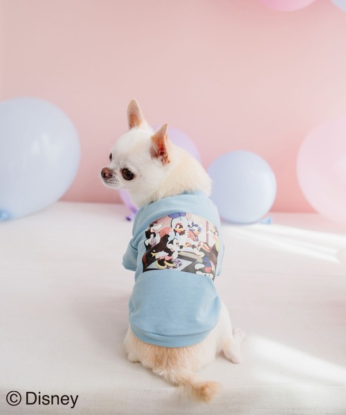 Disney(ディズニー)の「【DOG】【DISNEY /ディズニー】バースデイーフォトTシャツ(ペットウェア・レディース・ホワイト/ピンク/ブルー・M size/L/M/S)」の1枚目の写真