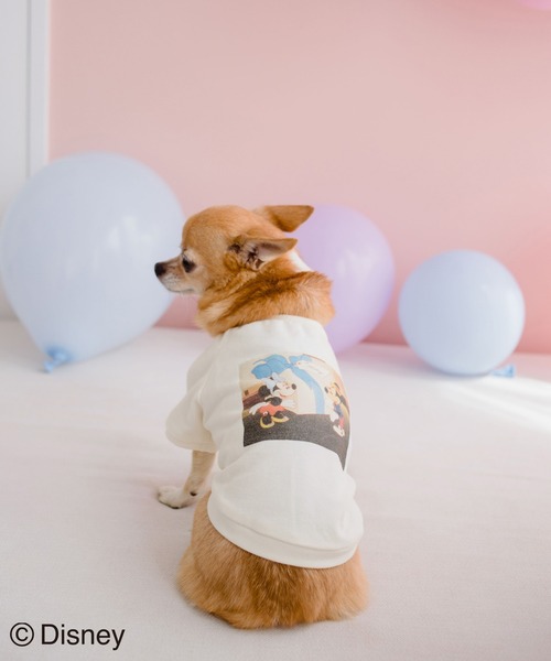 Disney(ディズニー)の「【DOG】【DISNEY /ディズニー】バースデイーフォトTシャツ(ペットウェア・レディース・ホワイト/ピンク/ブルー・M size/L/M/S)」の17枚目の写真