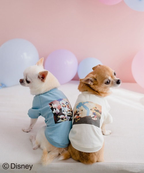 Disney(ディズニー)の「【DOG】【DISNEY /ディズニー】バースデイーフォトTシャツ(ペットウェア・レディース・ホワイト/ピンク/ブルー・M size/L/M/S)」の18枚目の写真