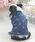 LAURA ASHLEYi[AVCj́uLAURA ASHLEY/bt^NgbviybgEFAjvblCr[