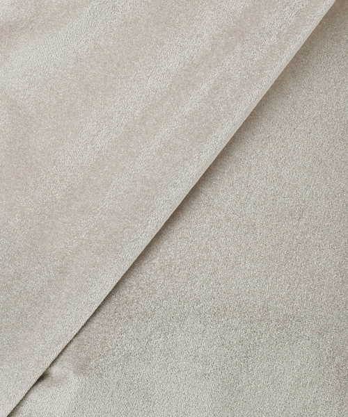 JOURNAL STANDARD relume（ジャーナルスタンダード　レリューム）の「シアーベロアクルーネックロングTEE（Tシャツ/カットソー・レディース・ブラウン/グリーン/ピンク/チャコールグレー・FREE）」の17枚目の写真