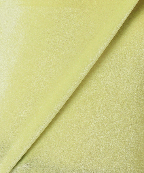 JOURNAL STANDARD relume（ジャーナルスタンダード　レリューム）の「シアーベロアクルーネックロングTEE（Tシャツ/カットソー・レディース・ブラウン/グリーン/ピンク/チャコールグレー・FREE）」の19枚目の写真