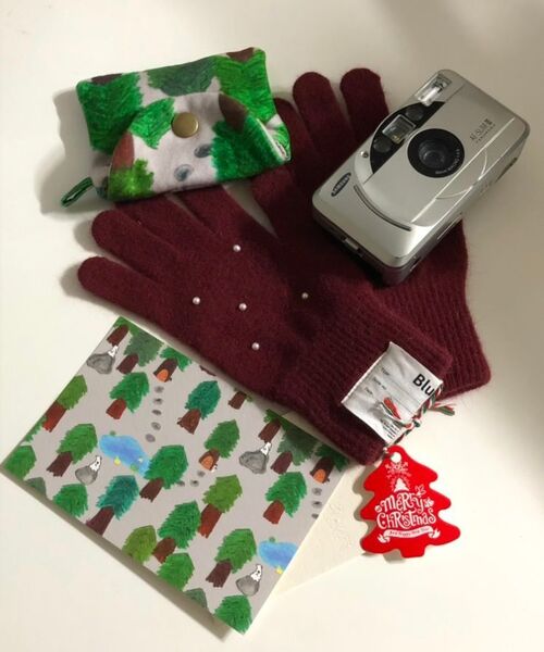 LUVISTRUE（ラヴイズトゥルー）の「FS LETTER HOOD ZIPUP(WHITE)（パーカー・レディース・その他・FREE）」の11枚目の写真