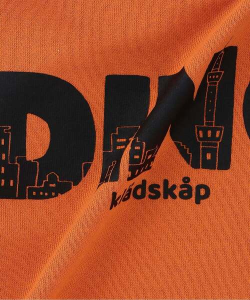 kladskap(クレードスコープ)の「【人気商品再入荷】【直営店で取り扱い無し】街と恐竜トレーナー(スウェット・キッズ・チャコール/ターコイズブルー/オレンジ・90cm/100cm/120cm/130cm/110cm)」の12枚目の写真