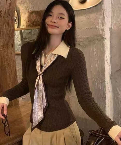Teem Store(チームストア)の「ドットスカーフタイ付き 衿付きバイカラーケーブルニット(ニット/セーター・レディース・ブラウン/ブラック・M)」の13枚目の写真