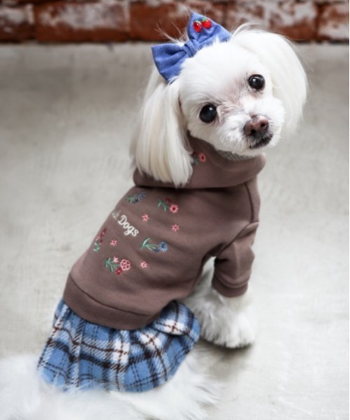 犬と生活/いぬとせいかつ/カレッジワンピ/犬服(ドッグウェア)（ペットウェア）｜犬と生活（イヌトセイカツ） 4,961円