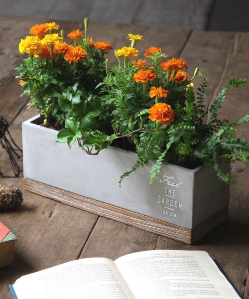 SPICE OF LIFE（スパイス オブ ライフ）の「FEEL THE GARDEN セメントプランター レクト ロング 33cm（フラワーベース・レディース・グレー・ONE SIZE）」の2枚目の写真