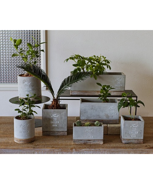 SPICE OF LIFE（スパイス オブ ライフ）の「FEEL THE GARDEN セメントプランター レクト ロング 33cm（フラワーベース・レディース・グレー・ONE SIZE）」の19枚目の写真