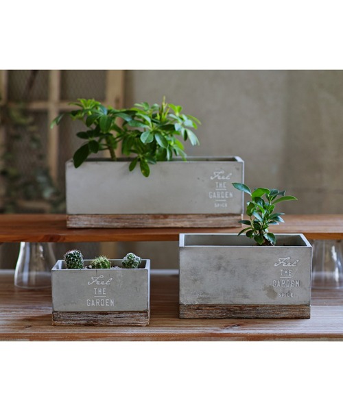 SPICE OF LIFE（スパイス オブ ライフ）の「FEEL THE GARDEN セメントプランター レクト ロング 33cm（フラワーベース・レディース・グレー・ONE SIZE）」の16枚目の写真