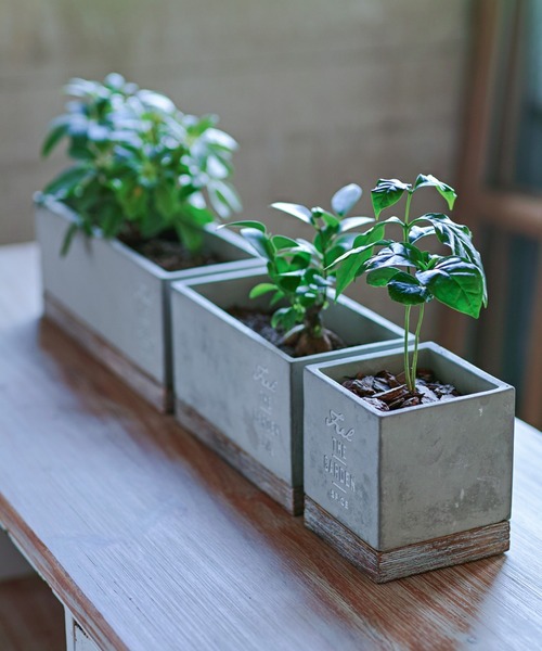 SPICE OF LIFE（スパイス オブ ライフ）の「FEEL THE GARDEN セメントプランター レクト ロング 33cm（フラワーベース・レディース・グレー・ONE SIZE）」の17枚目の写真