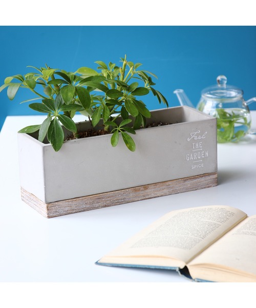 SPICE OF LIFE（スパイス オブ ライフ）の「FEEL THE GARDEN セメントプランター レクト ロング 33cm（フラワーベース・レディース・グレー・ONE SIZE）」の3枚目の写真