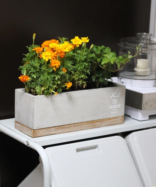 SPICE OF LIFE（スパイス オブ ライフ）の「FEEL THE GARDEN セメントプランター レクト ロング 33cm（フラワーベース・レディース・グレー・ONE SIZE）」の4枚目の写真