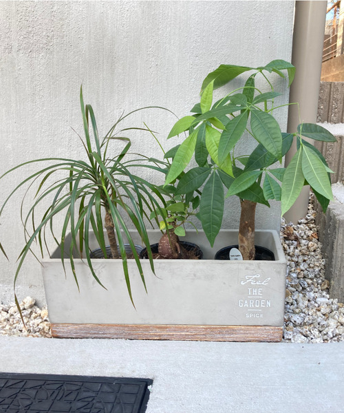 SPICE OF LIFE（スパイス オブ ライフ）の「FEEL THE GARDEN セメントプランター レクト ロング 33cm（フラワーベース・レディース・グレー・ONE SIZE）」の22枚目の写真