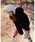 FUNdaysionit@fCVj́uȃLeBOtFCNt@[t[hu]iu]jvbubN