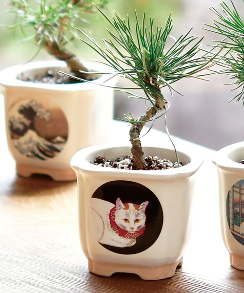 JAPANESE BONSAI（インテリア雑貨）｜niko and