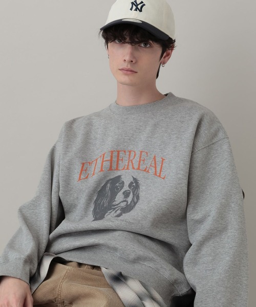 RAGEBLUE(レイジブルー)の「Dog Illustration Print Sweat/DOGイラストプリントスウェット(スウェット・メンズ・レッド/グレー系その他/ブラック・LARGE/MEDIUM)」の1枚目の写真