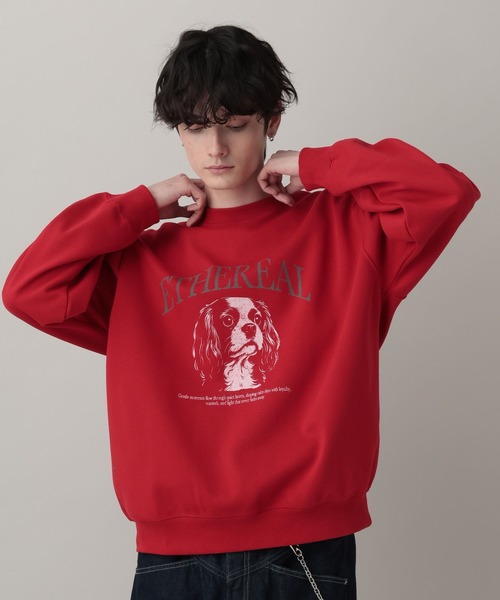 RAGEBLUE(レイジブルー)の「Dog Illustration Print Sweat/DOGイラストプリントスウェット(スウェット・メンズ・レッド/グレー系その他/ブラック・LARGE/MEDIUM)」の16枚目の写真