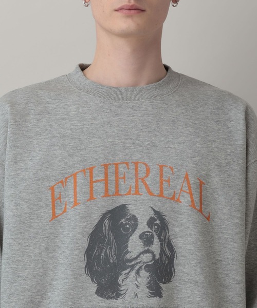 RAGEBLUE(レイジブルー)の「Dog Illustration Print Sweat/DOGイラストプリントスウェット(スウェット・メンズ・レッド/グレー系その他/ブラック・LARGE/MEDIUM)」の10枚目の写真