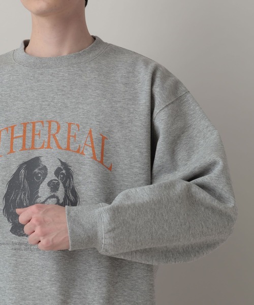 RAGEBLUE(レイジブルー)の「Dog Illustration Print Sweat/DOGイラストプリントスウェット(スウェット・メンズ・レッド/グレー系その他/ブラック・LARGE/MEDIUM)」の11枚目の写真