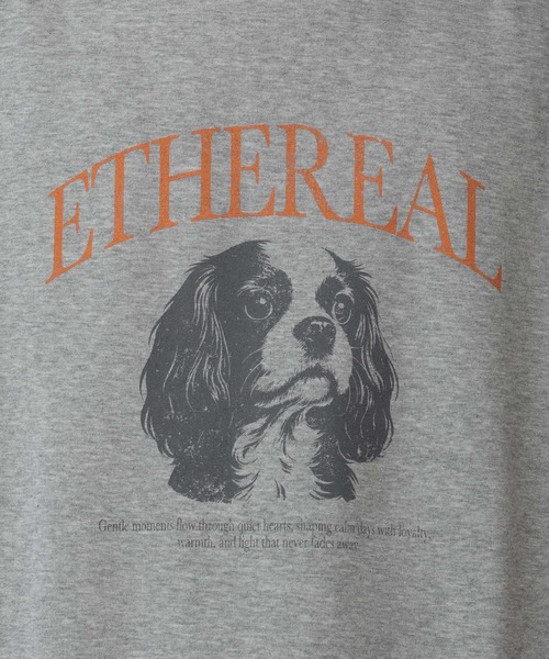 RAGEBLUE(レイジブルー)の「Dog Illustration Print Sweat/DOGイラストプリントスウェット(スウェット・メンズ・レッド/グレー系その他/ブラック・LARGE/MEDIUM)」の14枚目の写真