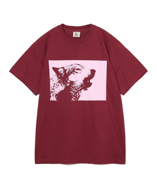 NON TOKYO(ノントーキョー)の「PRINT T-SHIRT(DOG)(Tシャツ/カットソー・レディース・ホワイト/ブラック/バーガンディー・2/1)」の6枚目の写真