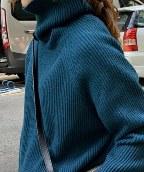 DAY CLOSET（デイ クローゼット）の「レディース リブ編み中厚手タートルネックセーター（ニット/セーター・レディース・テラコッタ/ブルー/ベージュ/ブラック・ONE SIZE）」の19枚目の写真