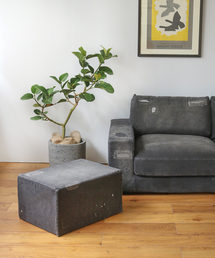 journal standard Furniture （ジャーナルスタンダードファニチャー）の「《中型商品》FRANKLIN エクササイズスツール　ブラックダメージデニム（家具・メンズ）」