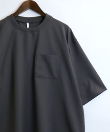 HALHAM（ハルハム）の「リネンライク クルーネック プルオーバー【IR】（Tシャツ/カットソー・メンズ）」