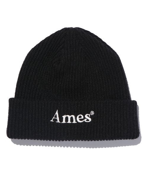 AMESWORLDWIDE（アメスワールドワイド）の「A'GEM/9 × .kom 『AMESWORLDWIDE/アメスワールドワイド』COLORED LOGO BEANIE/カラードロゴ ビーニー（ニットキャップ/ビーニー・レディース・ホワイト/ブルー/ブラック/ピンク/グリーン・FREE）」の6枚目の写真