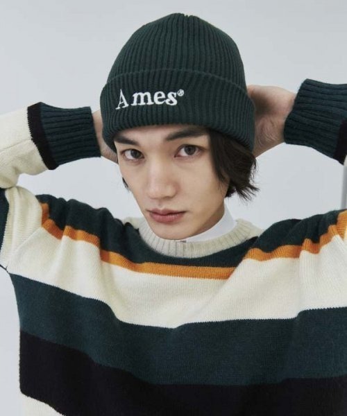 AMESWORLDWIDE（アメスワールドワイド）の「A'GEM/9 × .kom 『AMESWORLDWIDE/アメスワールドワイド』COLORED LOGO BEANIE/カラードロゴ ビーニー（ニットキャップ/ビーニー・レディース・ホワイト/ブルー/ブラック/ピンク/グリーン・FREE）」の14枚目の写真