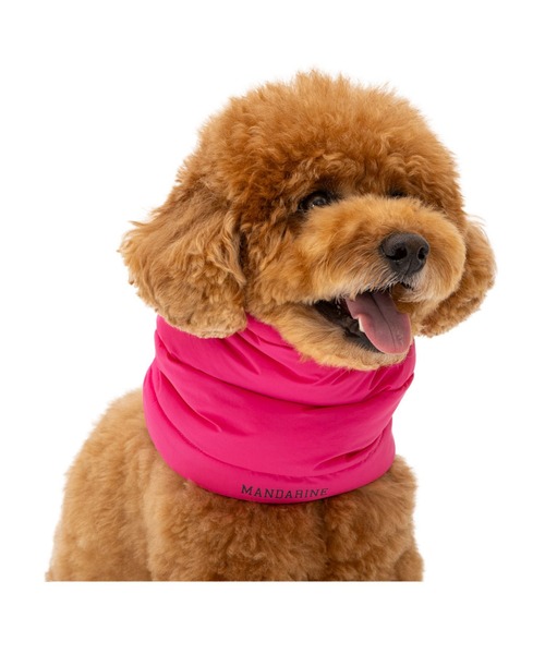 犬 楽天市場】【マラソン限定 P5倍+最大400円クーポン※要取得