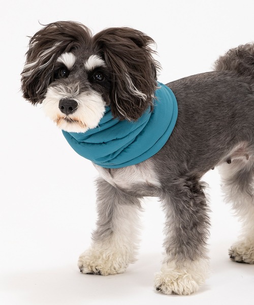 セール】ネックウォーマー M/小型犬（その他ペットグッズ