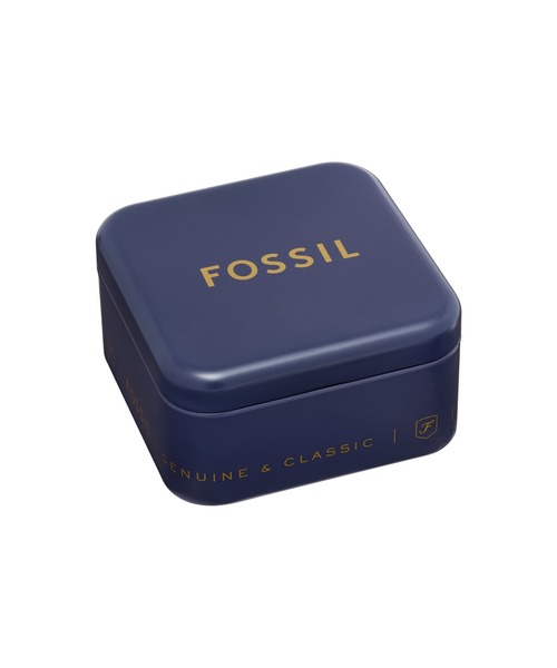 FOSSIL(フォッシル)の「フォッシル アクセサリー レディース ブレスレット ゴールド JF04866710(ブレスレット・レディース・ゴールド・FREE)」の6枚目の写真