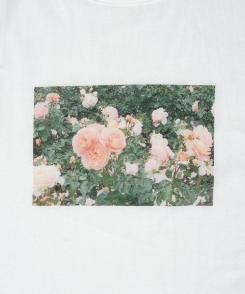 flower(フラワー)の「マイプレシャスティーズ(Tシャツ/カットソー・レディース・ピンク/ホワイト/ブラウン・FREE)」の17枚目の写真