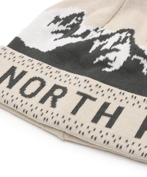 THE NORTH FACE(ザノースフェイス)の「THE NORTH FACE Snow Bum Beanie / ザ・ノース・フェイス スノー バム ビーニー(ニットキャップ/ビーニー・メンズ・ホワイト/ベージュ/グレー・FREE)」の5枚目の写真