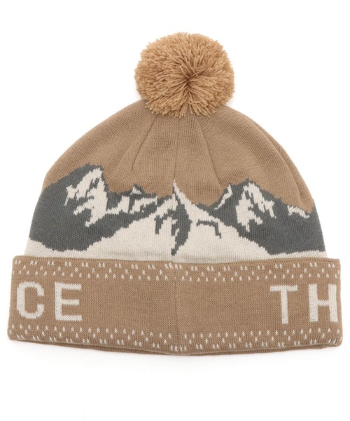 THE NORTH FACE(ザノースフェイス)の「THE NORTH FACE Snow Bum Beanie / ザ・ノース・フェイス スノー バム ビーニー(ニットキャップ/ビーニー・メンズ・ホワイト/ベージュ/グレー・FREE)」の9枚目の写真